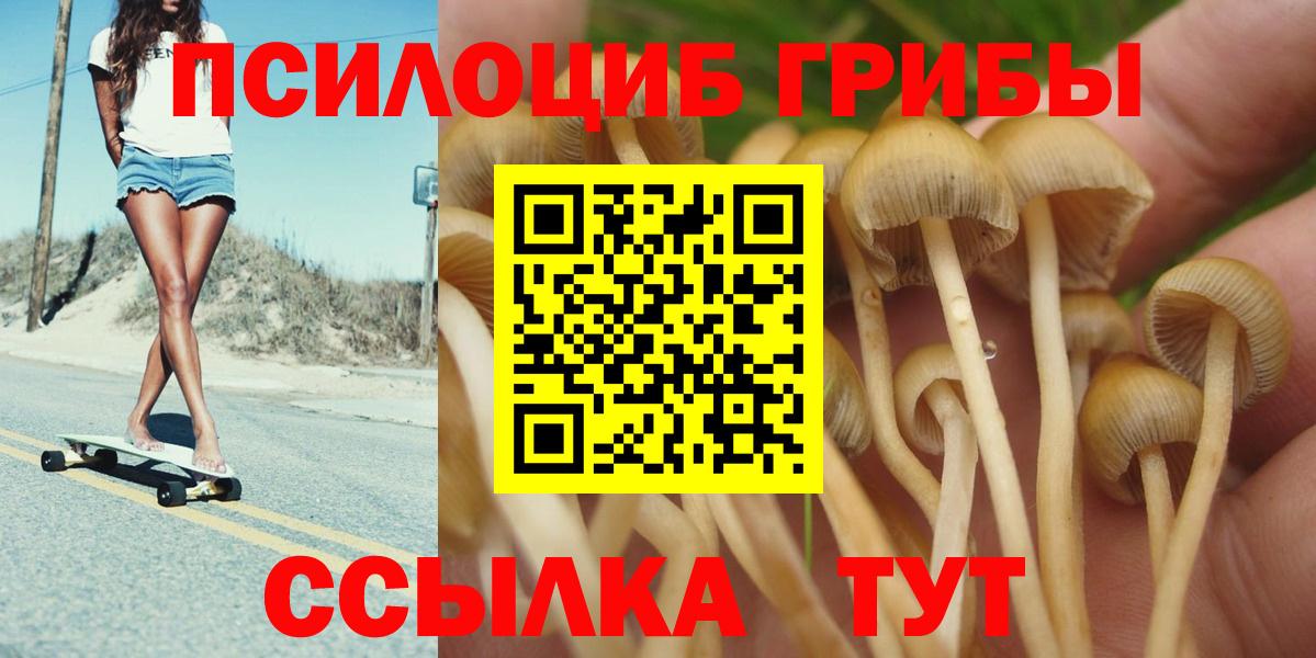 Псилоцибиновые грибы прущие грибы Каменка