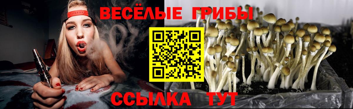 Псилоцибиновые грибы Magic Shrooms  Псилоцибиновые грибы Magic Shrooms  Каменка  Вход с VPN 
